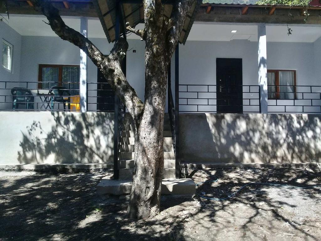 Guesthouse Ori Beli In Mestia Exteriér fotografie